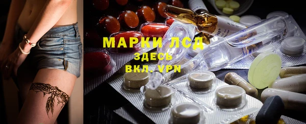 прущие грибы Алексин