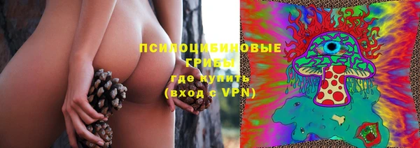 прущие грибы Алексин