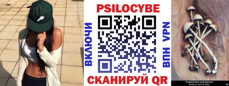 Псилоцибиновые грибы мицелий  Ветлуга 